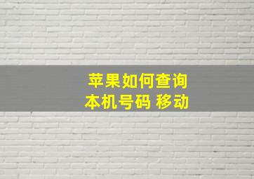 苹果如何查询本机号码 移动